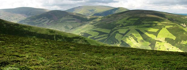 Broad Law and Cramalt Craig from Taberon Law.