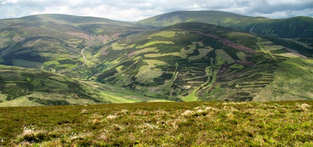 Broad Law, Cramalt Craig and the Stanhope Burn from Taberon Law.