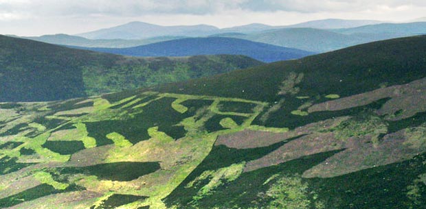 View of Queensbery and the Durisdeer hills from Taberon Law.