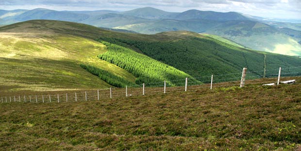 View from the top of Middle Hill down the southern side of Hopecarton Burn valley.