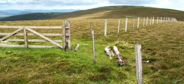 Looking north from the top of Long Grain Knowe.