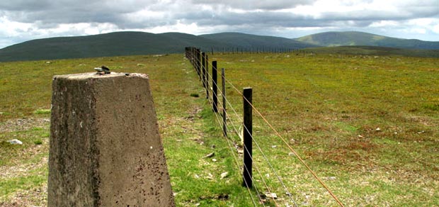 View from the trig on Pykestone Knowe towards Dollar Law, Cramalt Craig and Broad Law.