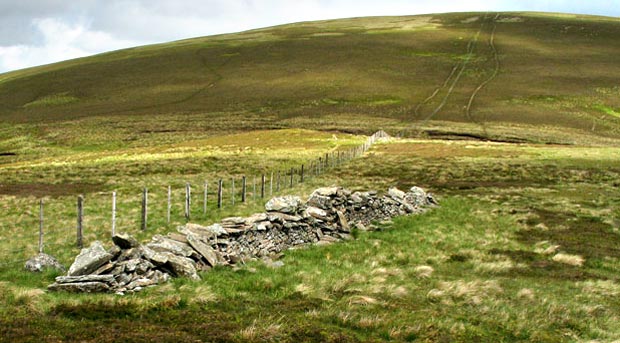 View back to the top of Pykestone Knowe.