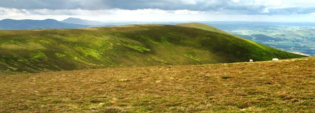 Looking west from the north end of Long Grain Knowe over to Glenstivon Dod and Drumelzier Law.