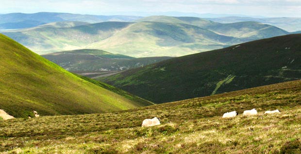 View from the top of Drumelzier Burn valley.