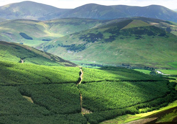 View from Glenstivon Dod over the valley of the Hopecarton Burn and Craig Head to the Tweed valley, Worm Hill and the Culters beyond.