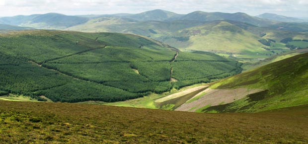 Looking down into the glen of Hopecarton Burn from Glenstivon Dod.