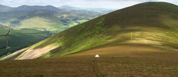 White cairn between Glenstivon Dod and Drumelzier Law.