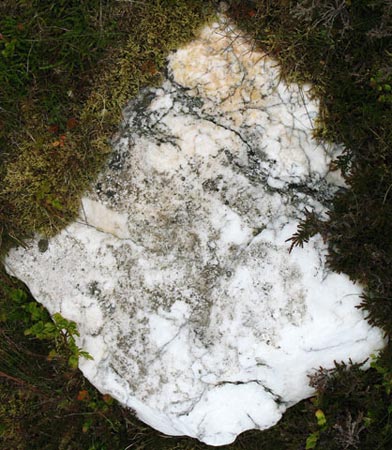 White cairn between Glenstivon Dod and Drumelzier Law.