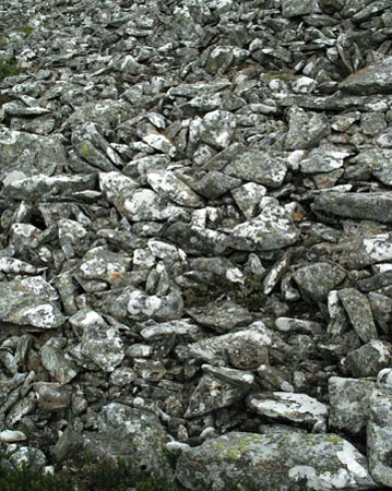 Field of lichen-covered stone from near the top of Drumelzier Law.