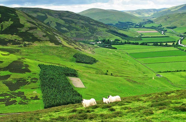 View up the Tweed valley near Stanhope from Dulyard Brae.