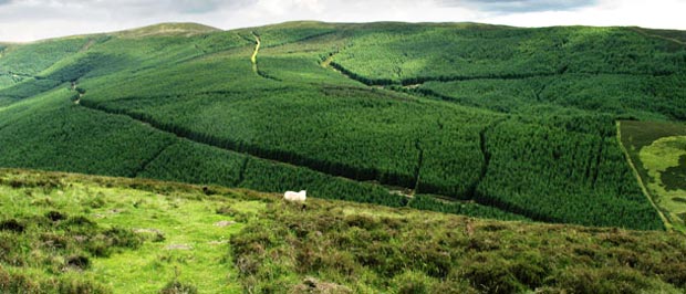 View over Craig Head to Taberon Law from Dulyard Brae.