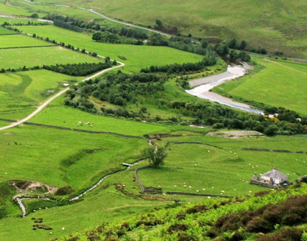 View of where the Hopecarton Burn runs into the River Tweed while descending from Dulyard Brae.