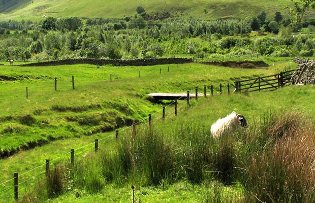 View of the footbridge across the Hopecarton Burn.