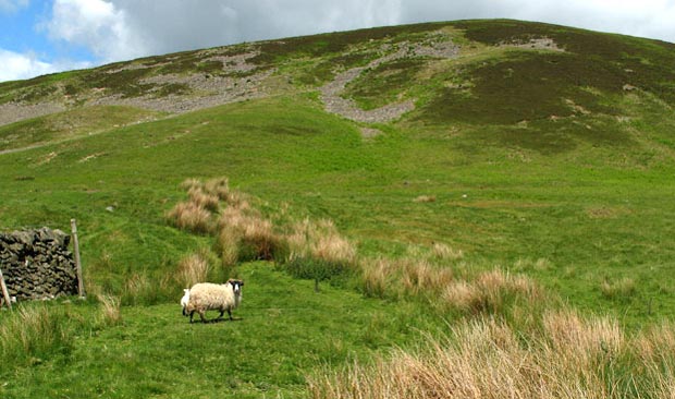 A glance back up to Dulyard Brae before crossing Hopecarton Burn.