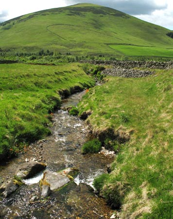 View of Worm Hill while crossing Hopecarton Burn.