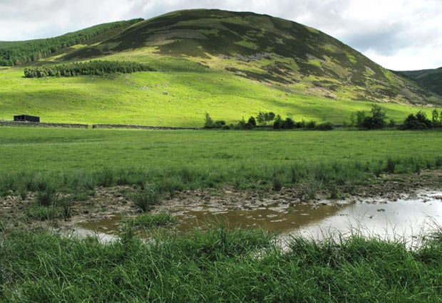 View of Craig Head from near the River Tweed.