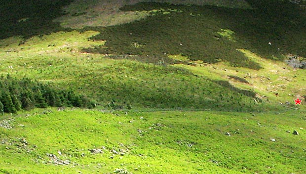 View of Craig Head from near the River Tweed - detail.