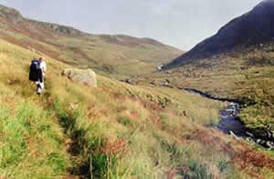 Heading up the Gairland Burn with the Buchan Ridge on the left and the start of the Rig of the Jarkness on the right.