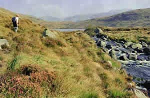 The source of the Gairland Burn as it runs out of Loch Valley.