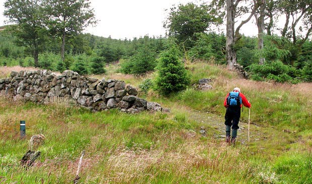 Where to change forest tracks for Benniguinea.