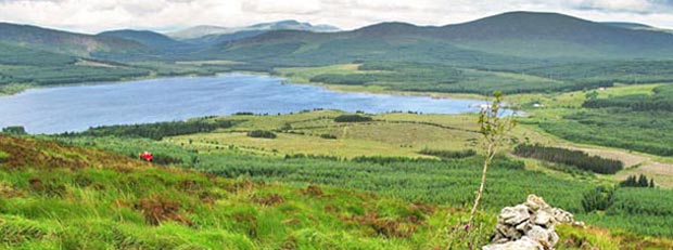 View of Clatteringshwas and the Galloway hills from near the top of Benniguinea.