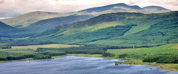 View of Clatteringshwas and the Galloway hills from near the top of Benniguinea - detail.