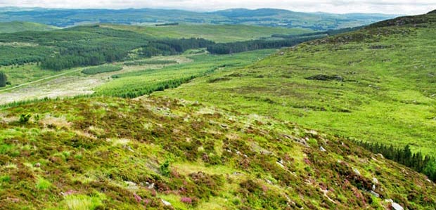 View into the saddle between Benniguinea and Cairnsmore of Dee.