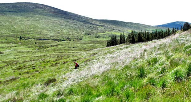 Descending into the saddle between Benniguinea and Cairnsmore of Dee.