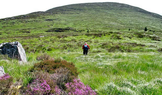 Crossing the saddle from Benniguinea to Cairnsmore of Dee.