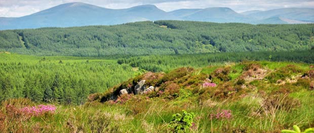 View north from the saddle towards Cairnsmore of Carsphairn.