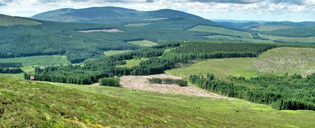 View of Cairnsmore of Fleet from the top of Cairnsmore of Dee.