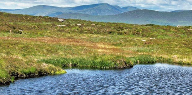 Looking north west to Benyellary, the Merrick and Kirriereoch from the lochans near the top of Cairnsmore of Dee.