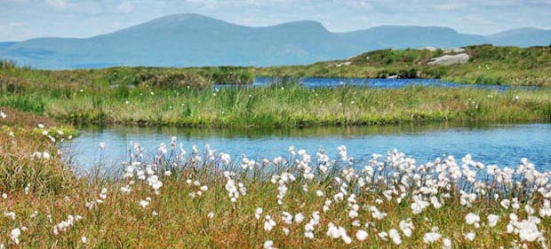 View over to Cairnsmore of Carsphairn and the Scaur hills from the lochans on Cairnsmore of Dee.