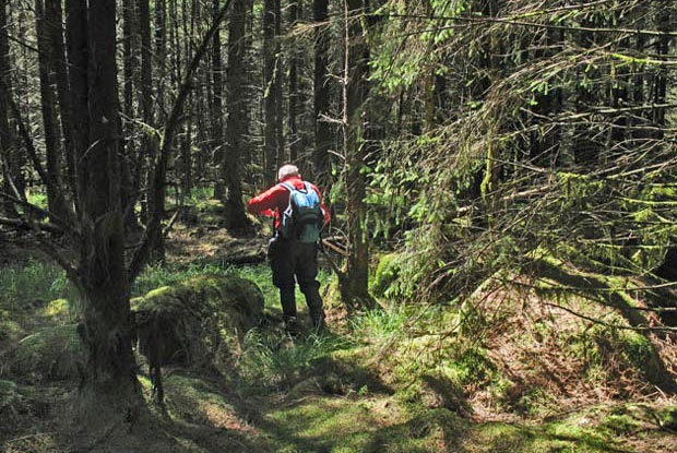 Getting through the wood.