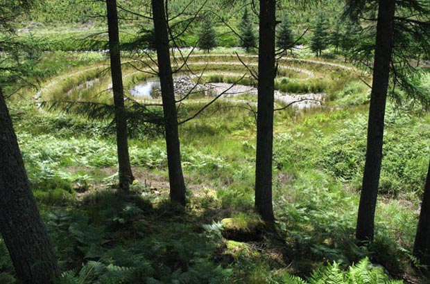 Maze near the Raider's Road.