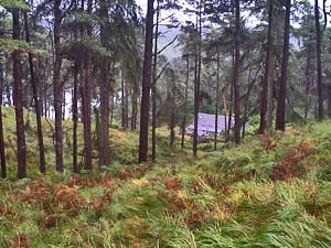 Looking back to Loch Grannoch Lodge as we start to ascend Craigronald