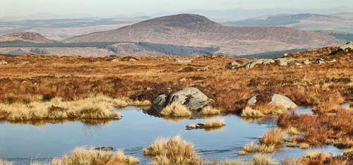 Looking NE towards Cairnsmore of Dee from the broad col between Craignelder and Meikle Mulltaggart