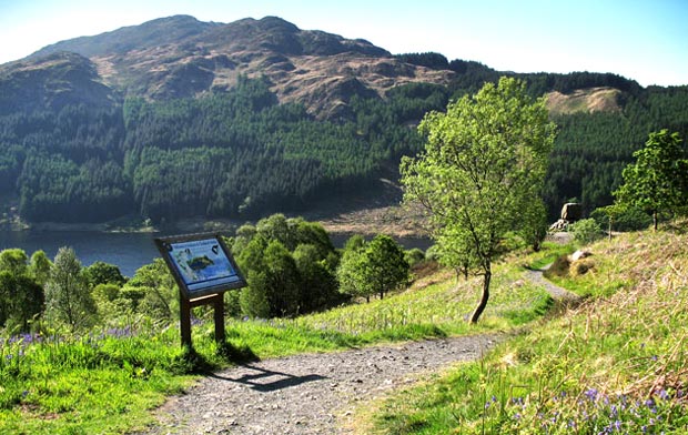 View of Bruce's Stone and the track to it with Loch Trool and Mulldonoch beyond
