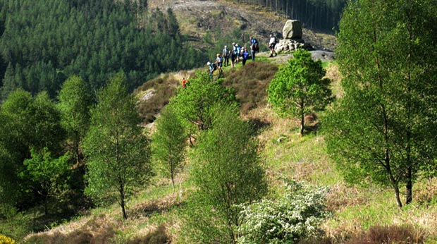 Walking group assembled at Bruce's Stone