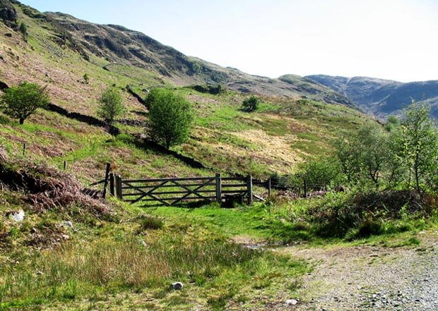 Where to leave the National Cycle Route and head up onto Buchan Hill