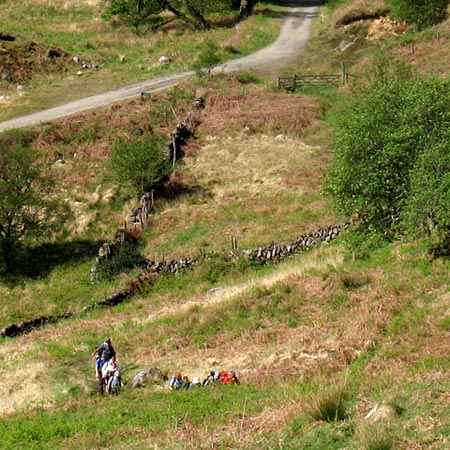 View back to cycle route and Loch Trool from ascent of Buchan Hill - detail