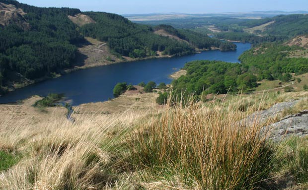 Last view of Loch Trool before rounding the shoulder of Buchan Hill into the valley of the Gairland Burn