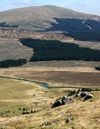 View of Meikle Millyea in the Rhinns of Kells with the Silver Flowe from near the Dow Loch