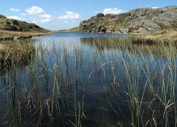 View of Dow loch in early summer