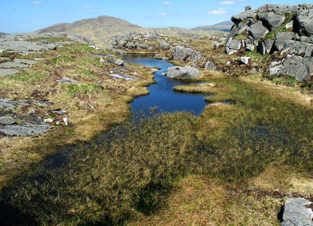 View of the lochan early summer