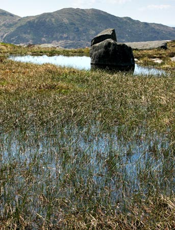 Bouders in the lochan near Craiglee