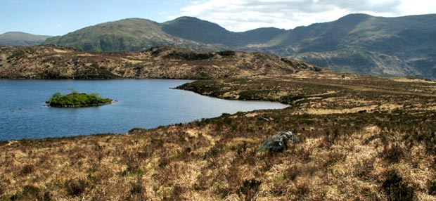 View looking south to the Minnigaff hills from Round Loch of Glenhead