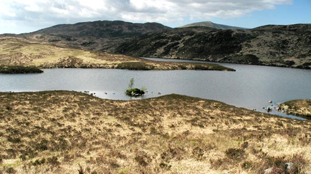 View across Long Loch of Glenhead with the Rig of the Jarkness beyond it and Benyellary in the distance