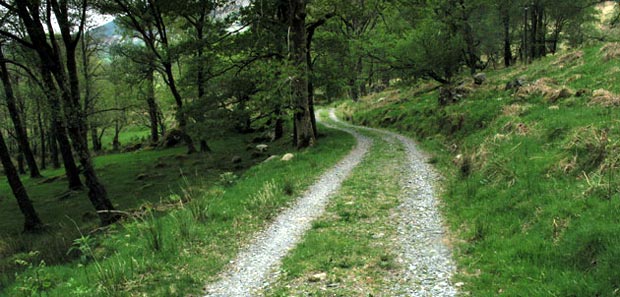 The track back to Glen Trool
